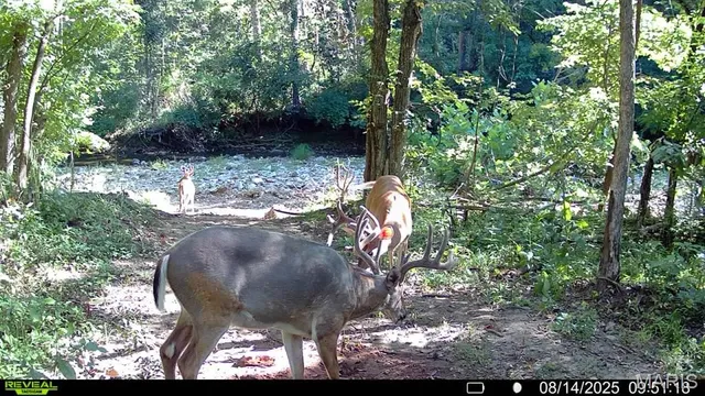 $735,000 | 6198 Shady Hills Lane, Fulton, MO 65251