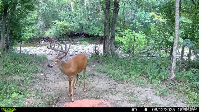 $735,000 | 6198 Shady Hills Lane, Fulton, MO 65251