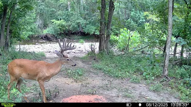 $735,000 | 6198 Shady Hills Lane, Fulton, MO 65251