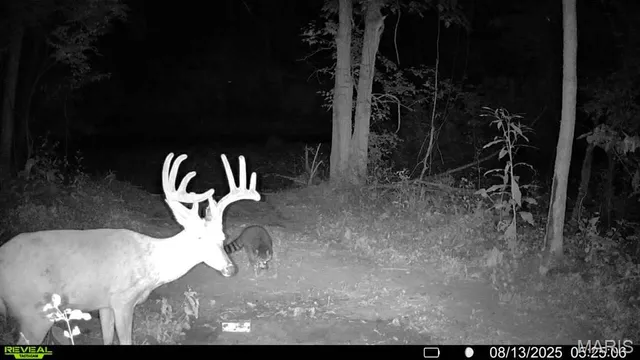 $735,000 | 6198 Shady Hills Lane, Fulton, MO 65251