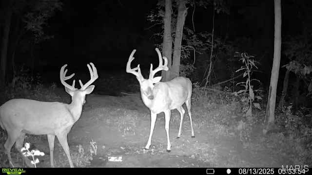 $735,000 | 6198 Shady Hills Lane, Fulton, MO 65251