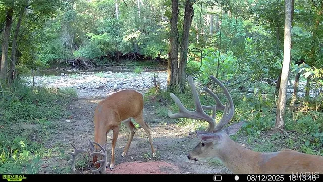 $735,000 | 6198 Shady Hills Lane, Fulton, MO 65251