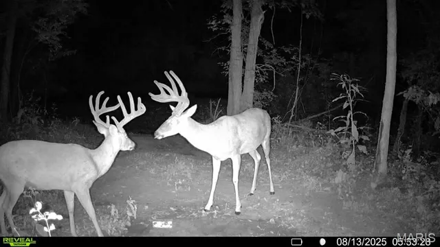 $735,000 | 6198 Shady Hills Lane, Fulton, MO 65251