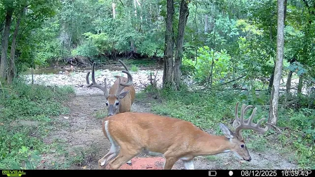 $735,000 | 6198 Shady Hills Lane, Fulton, MO 65251