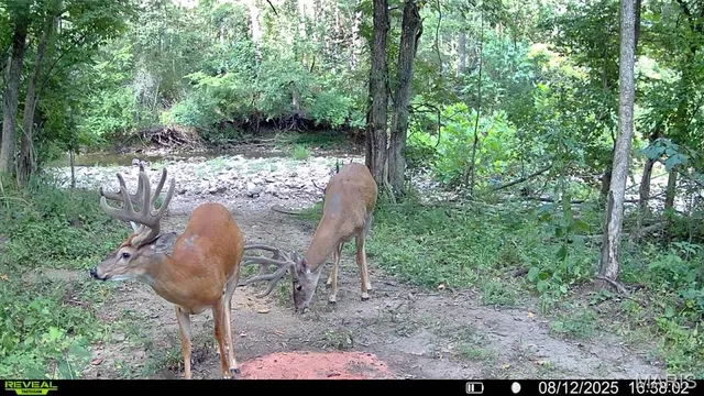 $735,000 | 6198 Shady Hills Lane, Fulton, MO 65251