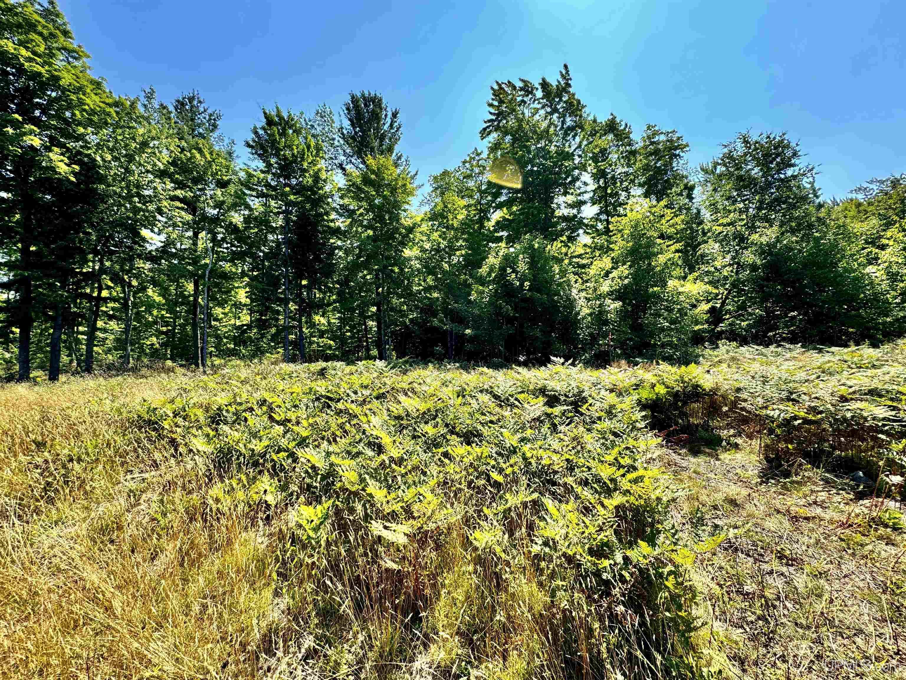 23867 Huron Road Skanee, MI 49962 - Photo 17 of 33 Gallery Image 17