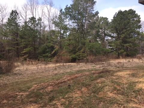 211 Brunson Road Dry Prong, LA 71423 - Photo 15 of 16 Gallery Image 15