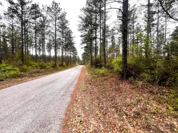 a view of a pathway with a yard