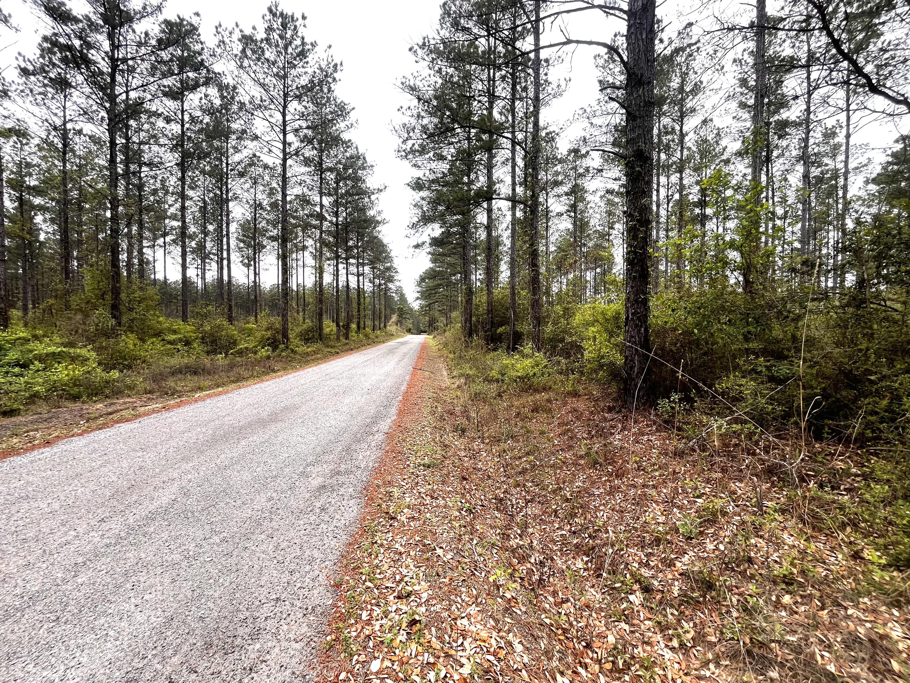 Xxx Cawthon Road Laurel Hill, FL 32567 - Photo 2 of 5 a view of a pathway with a yard