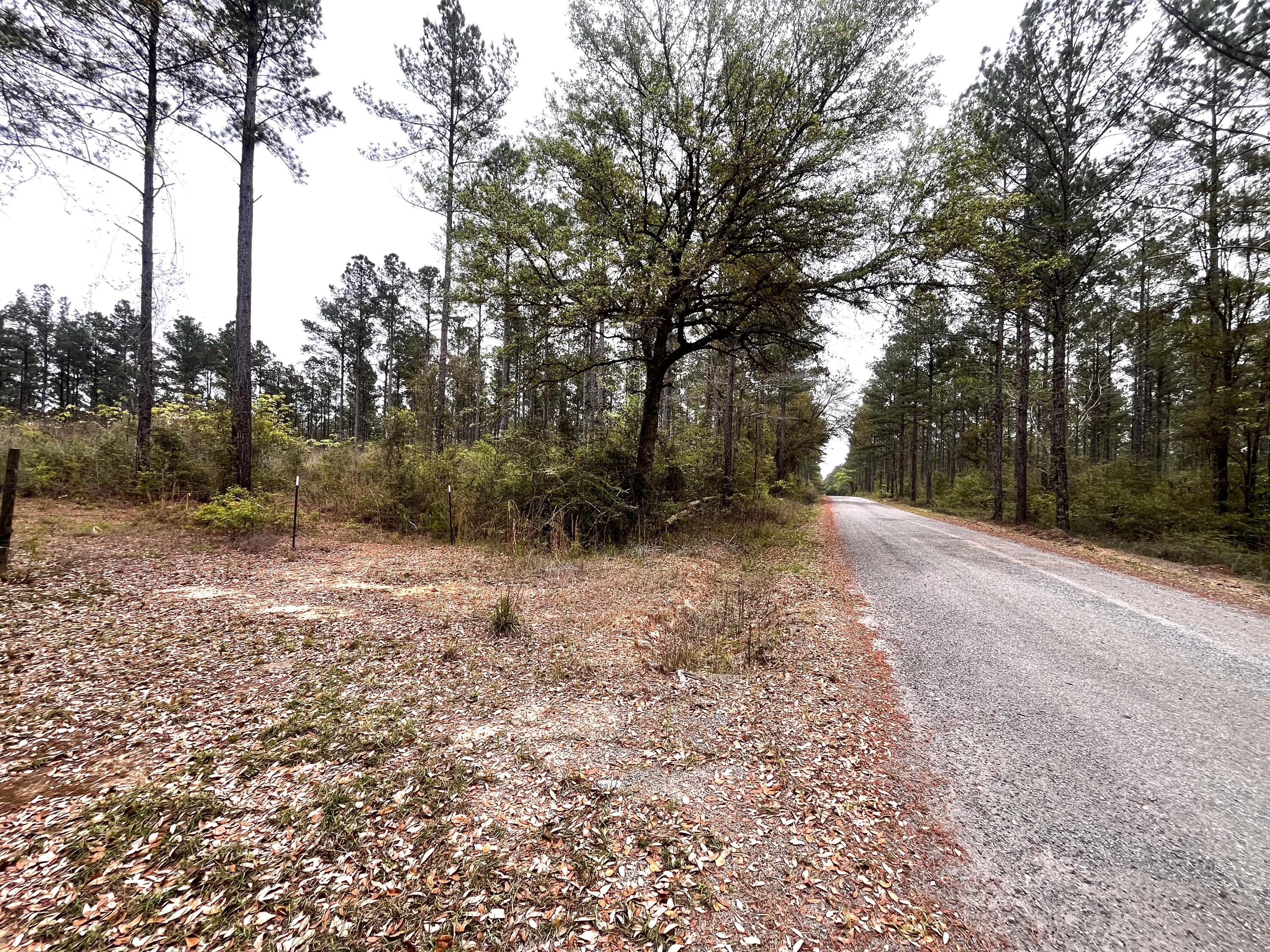 Xxx Cawthon Road Laurel Hill, FL 32567 - Photo 3 of 5 a view of outdoor space and yard