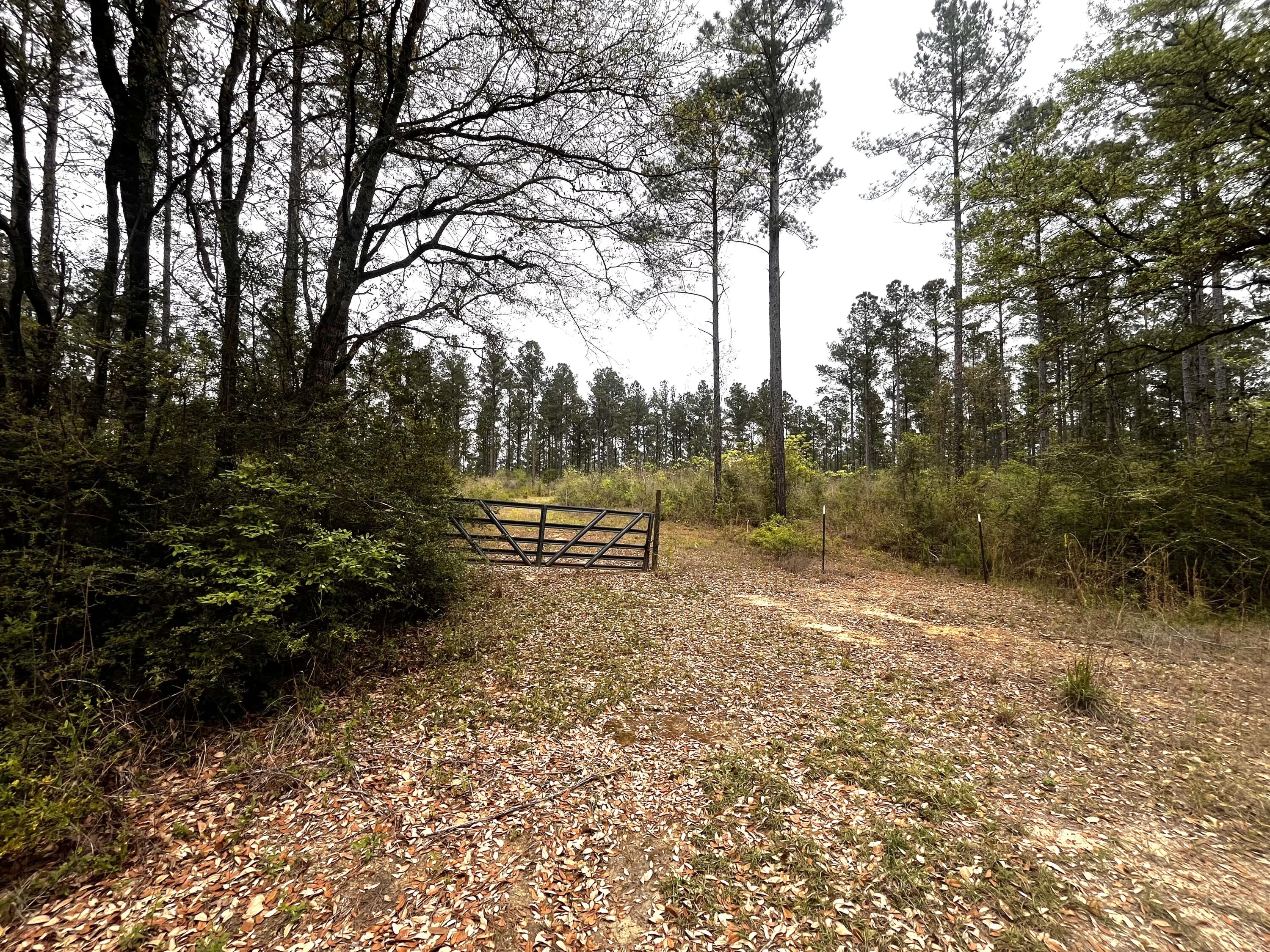 Xxx Cawthon Road Laurel Hill, FL 32567 - Photo 4 of 5 a view of backyard with green space