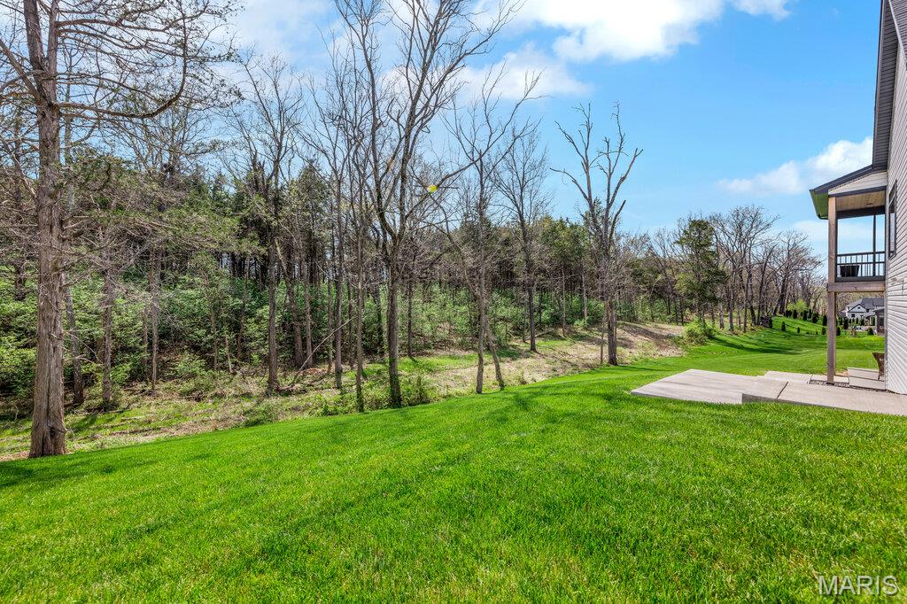 504 Hawthorne Ridge Foristell, MO 63348 - Photo 49 of 56