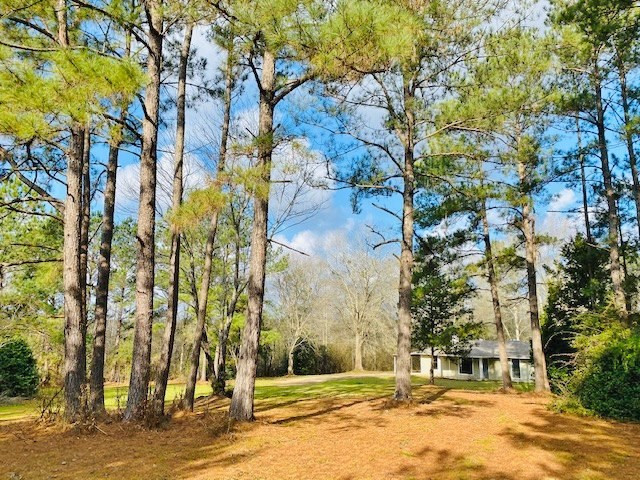 1119 Dudley Rimes Road Magnolia, MS 39652 - Photo 25 of 37 Photo 25