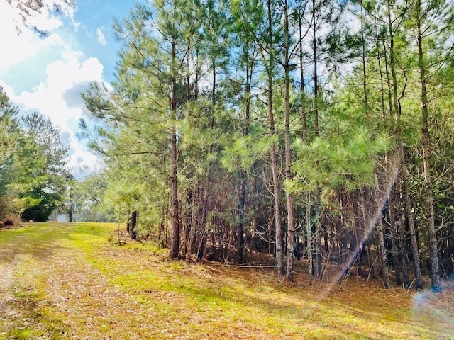 1119 Dudley Rimes Road Magnolia, MS 39652 - Photo 27 of 37 Photo 27