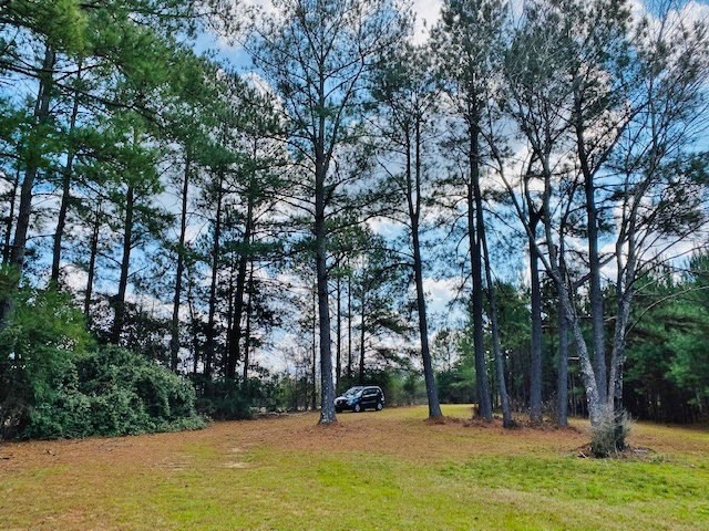 1119 Dudley Rimes Road Magnolia, MS 39652 - Photo 30 of 37 Photo 30