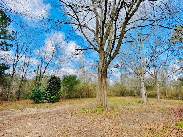 1119 Dudley Rimes Road Magnolia, MS 39652 - Photo 31 of 37 Photo 31
