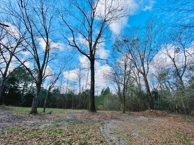 1119 Dudley Rimes Road Magnolia, MS 39652 - Photo 33 of 37 Photo 33