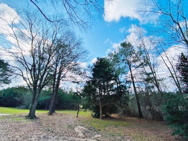 1119 Dudley Rimes Road Magnolia, MS 39652 - Photo 34 of 37 Photo 34