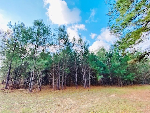 1119 Dudley Rimes Road Magnolia, MS 39652 - Photo 35 of 37 Photo 35