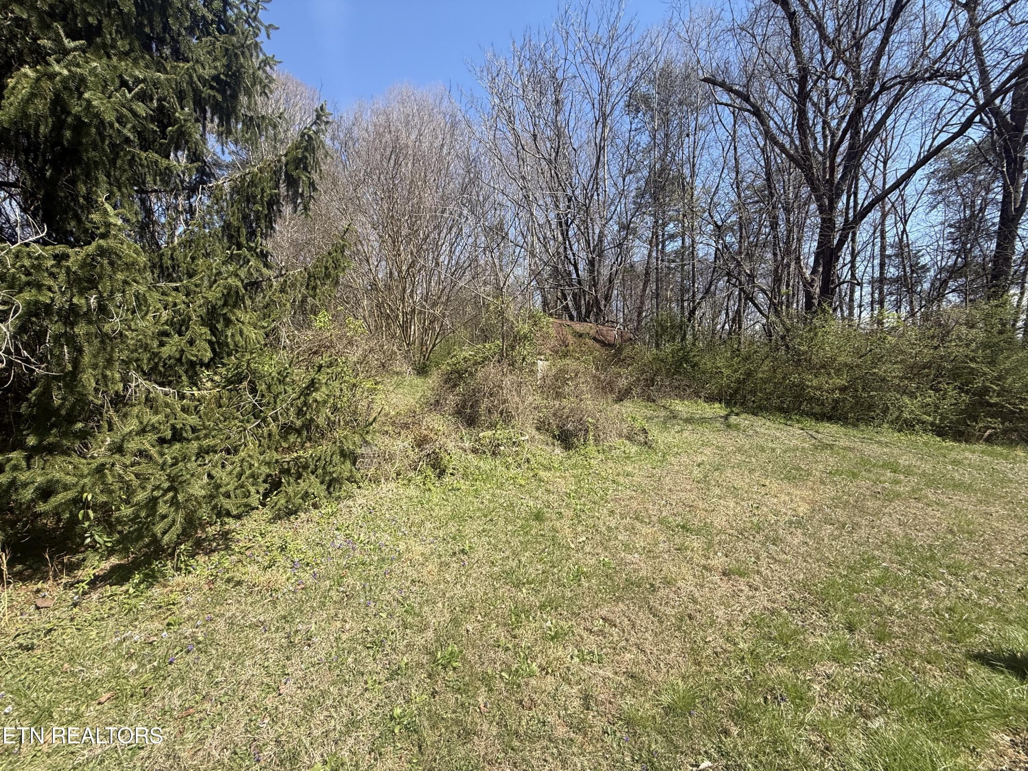 6200 Maloneyville Road Corryton, TN 37721 - Photo 24 of 24 Gallery Image 24