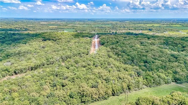 $240,000 | Lot 20 Deer View Estates Road, Holden, MO 64040