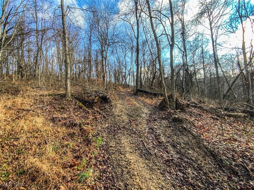 0 New Cut Road Shadyside, OH 43947 - Photo 6 of 37 View of undeveloped land