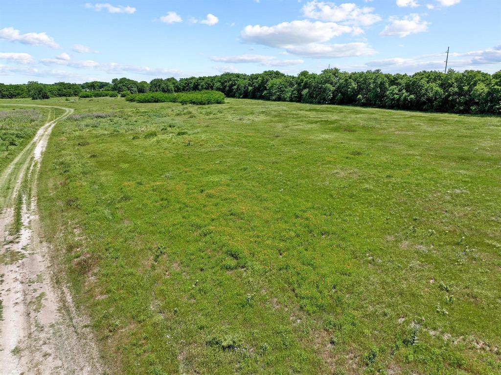 747 Vineyard Road Gunter, TX 75058 - Photo 23 of 32 a view of a green field with lawn chairs and large tree
