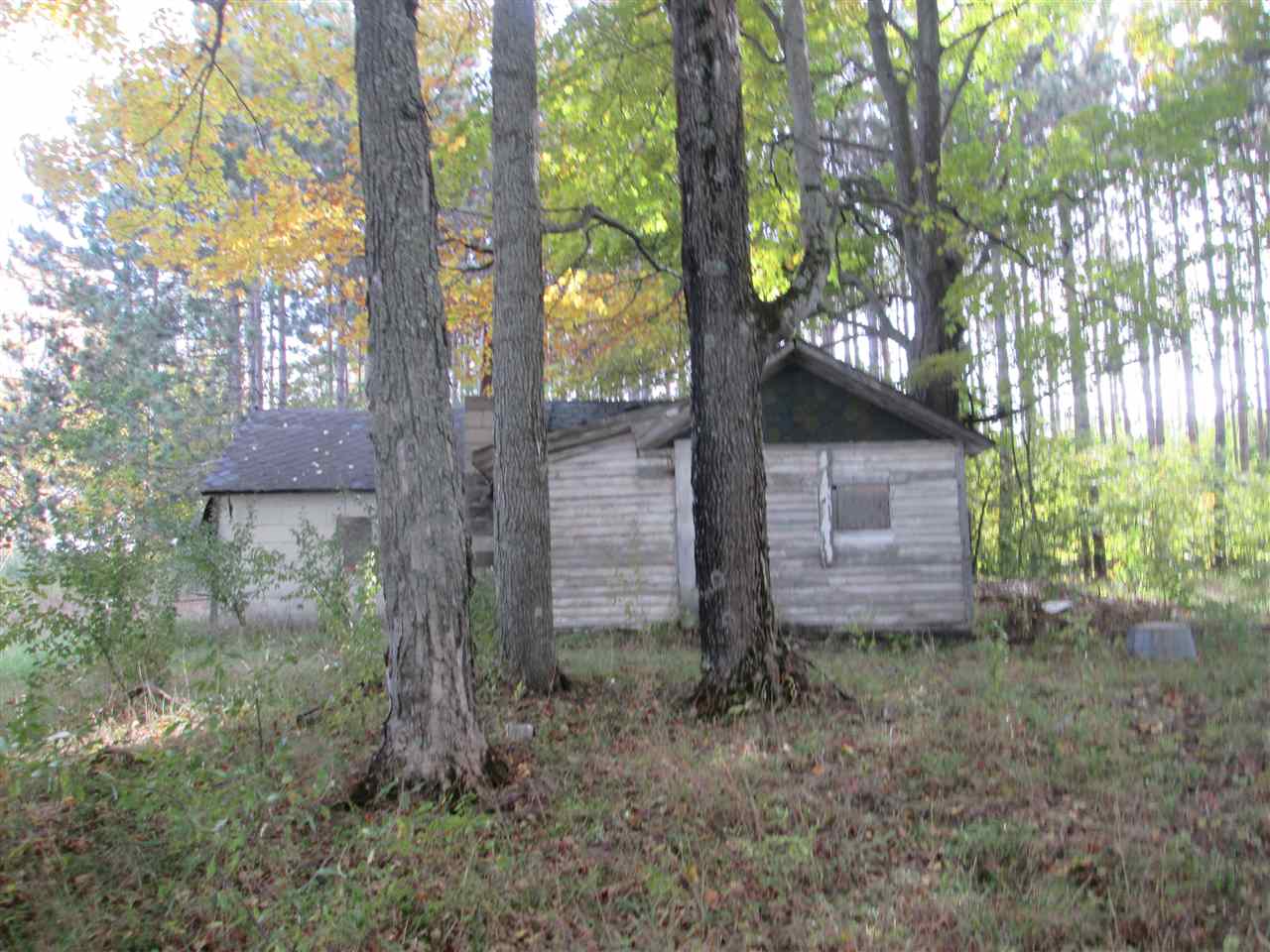 86 Golden Road Southeast Kalkaska, MI 49646 - Photo 12 of 24 1807687-11.JPG