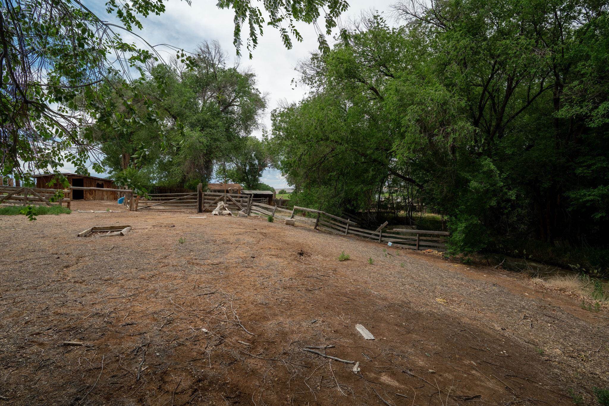 6038 Townsend Road Delta, CO 81416 - Photo 4 of 42 a view of backyard with large trees and plants