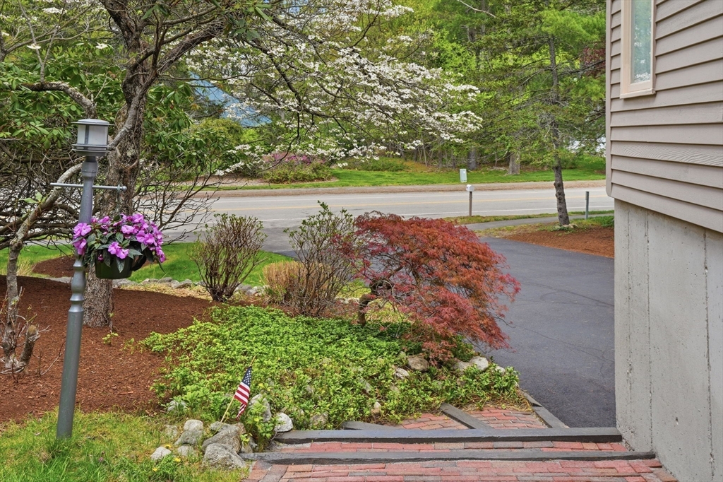 202 Hampton Road Sharon, MA 02067 - Photo 2 of 42