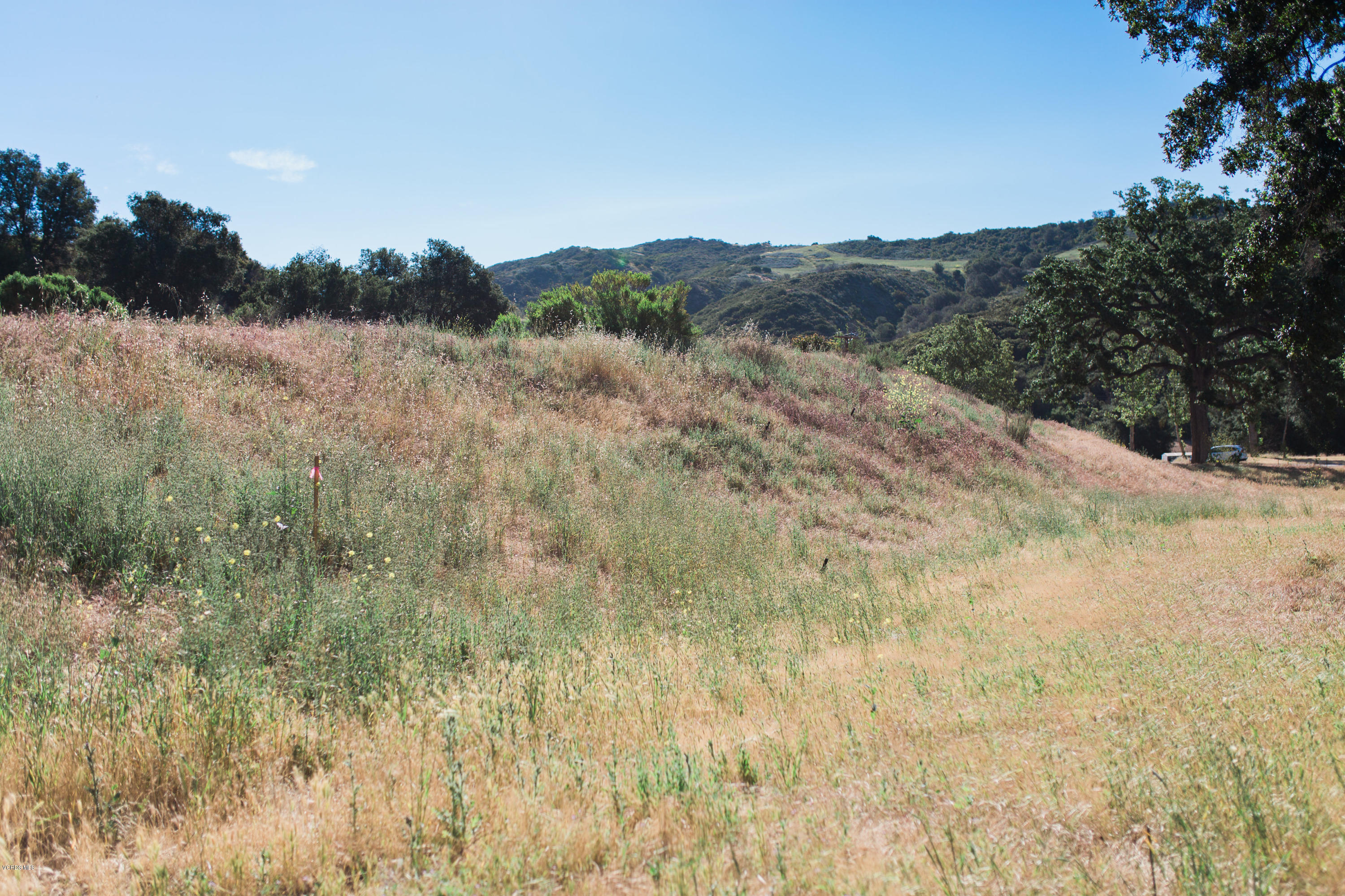 Stokes Canyon