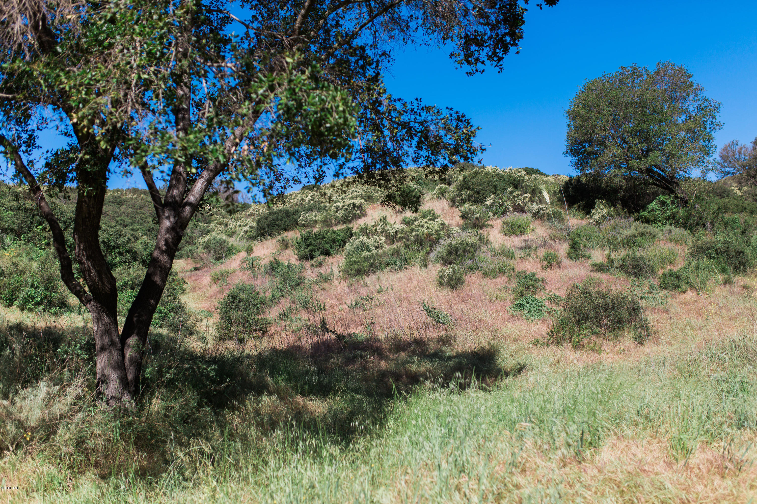 Stokes Canyon
