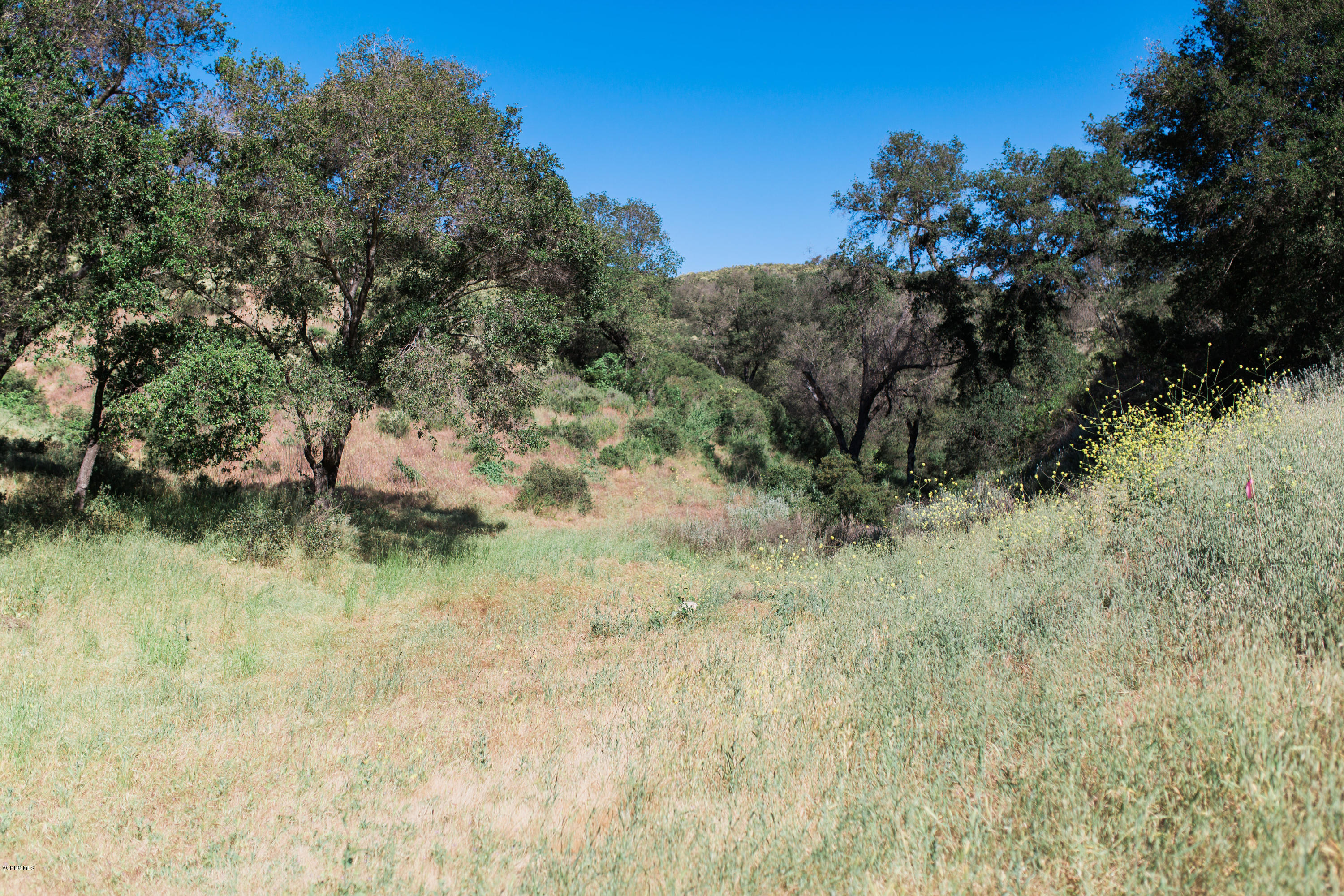 Stokes Canyon