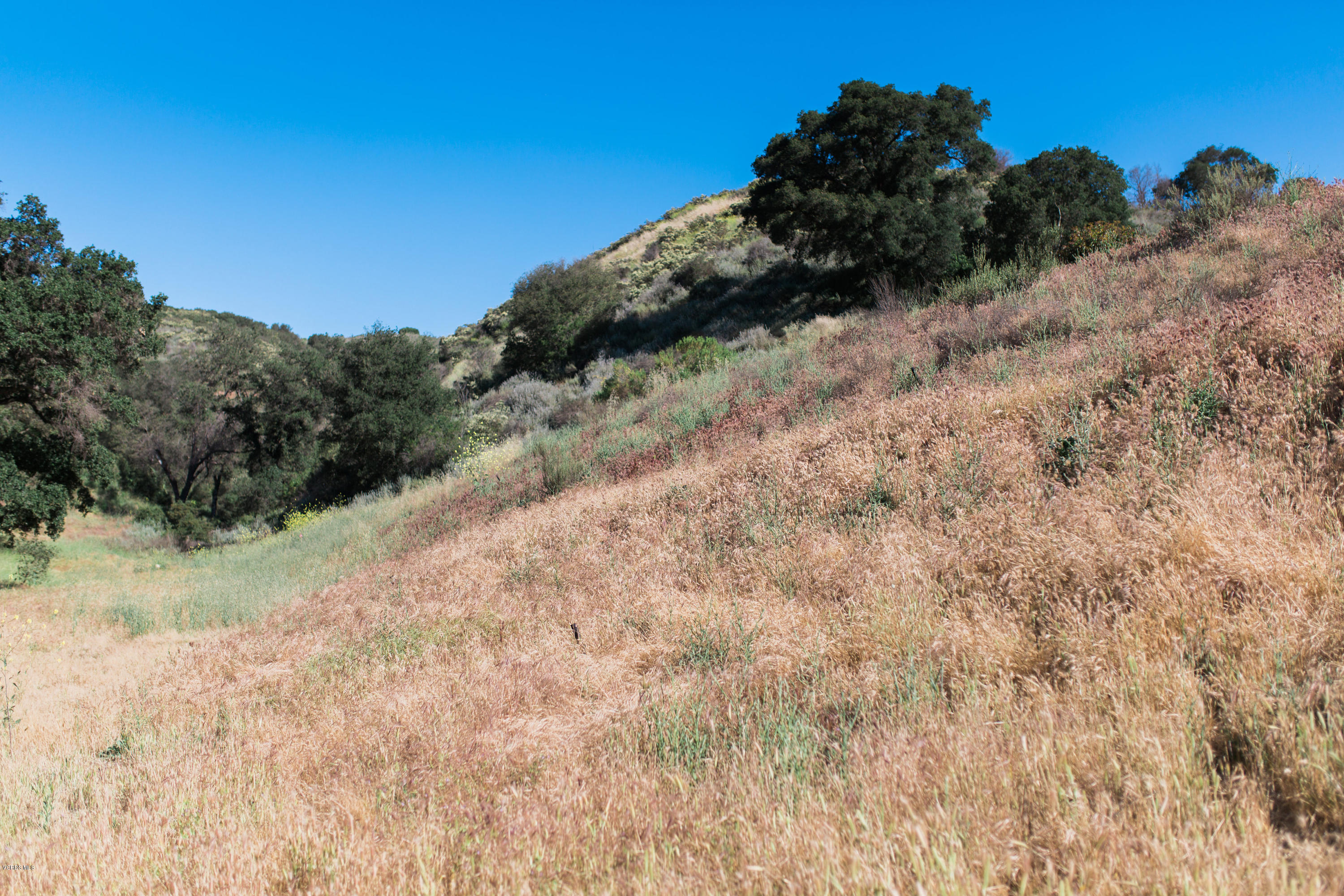 Stokes Canyon