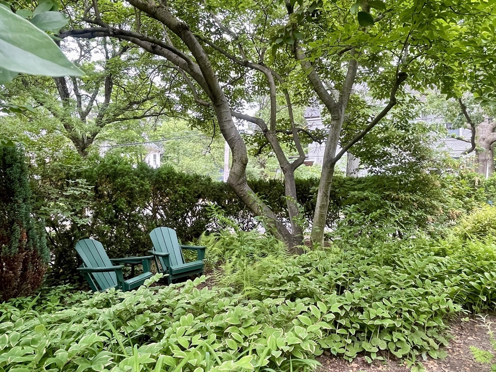 71 Abbottsford Road Brookline, MA 02446 - Photo 42 of 42