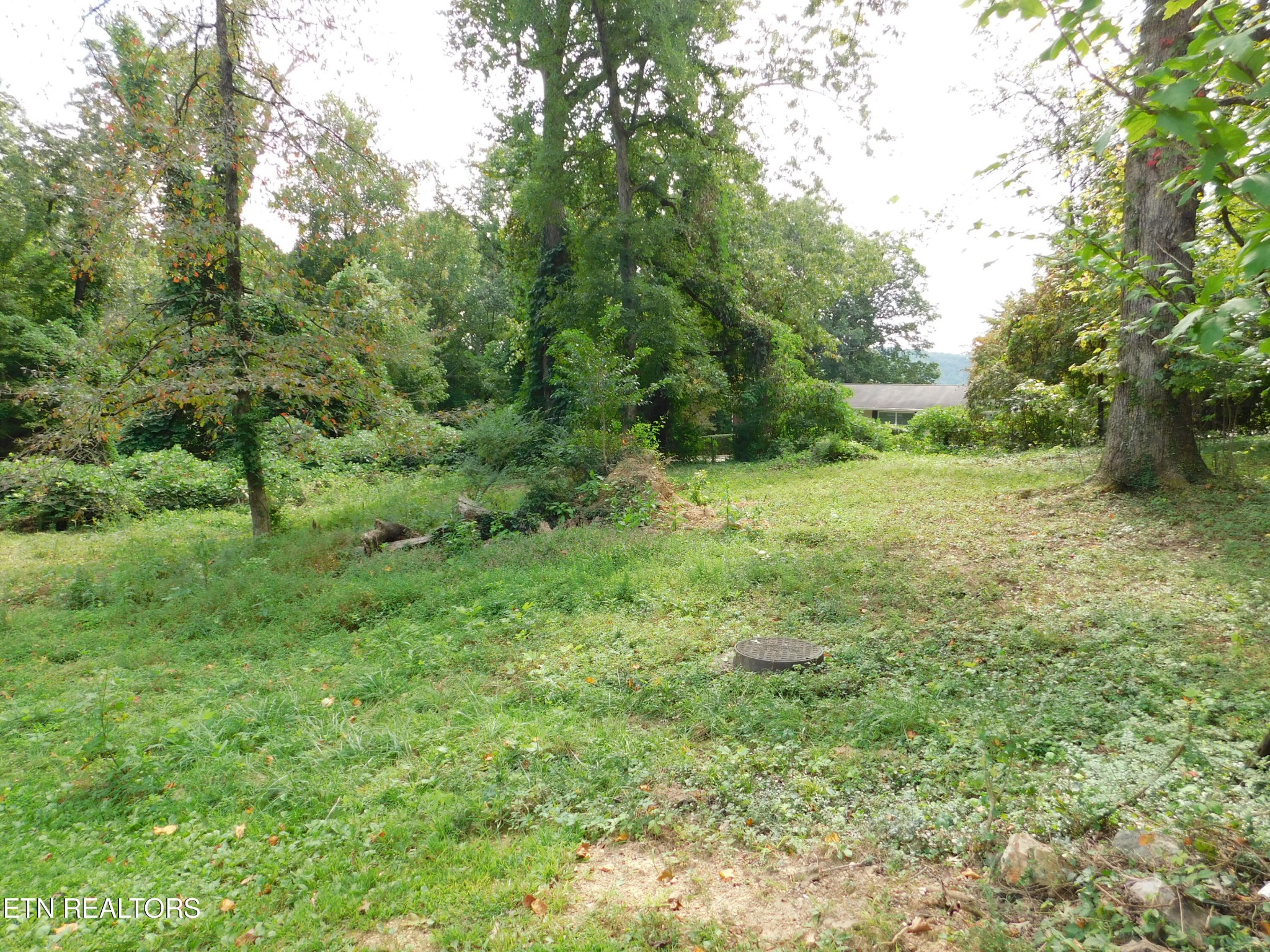 114 Lewis Lane Oak Ridge, TN 37830 - Photo 30 of 34