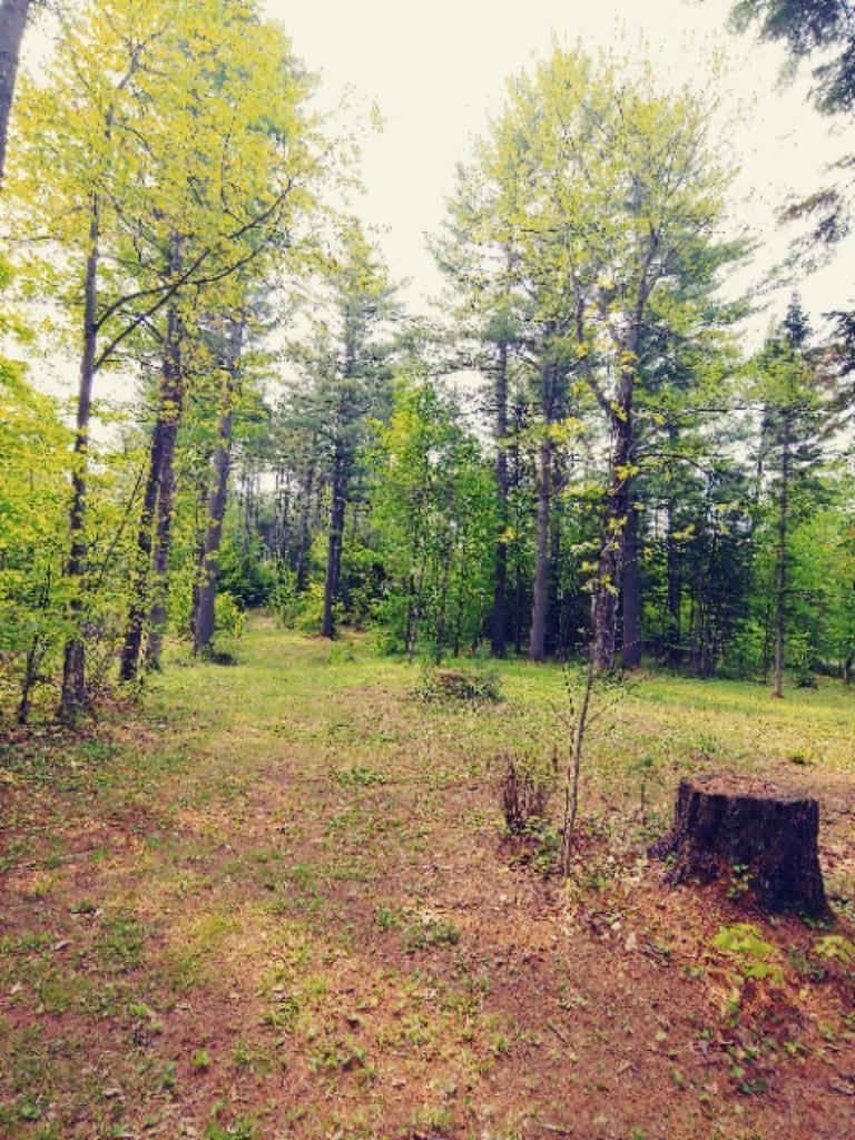 Mr3-l51a Webster Road Farmington, ME 04938 - Photo 4 of 4 20190531_102413_HDRMLS