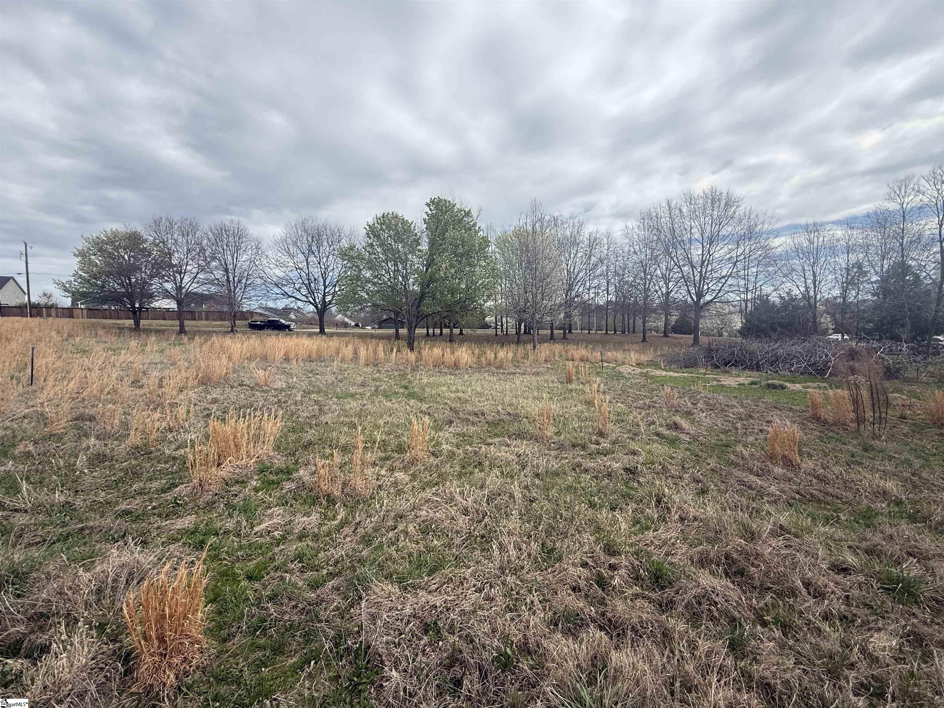 0 Perry Road, Unit PARCEL A Greer, SC 29651 - Photo 3 of 6