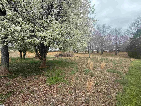 $100,000 | 0 Perry Road, Unit PARCEL A, Greer, SC 29651