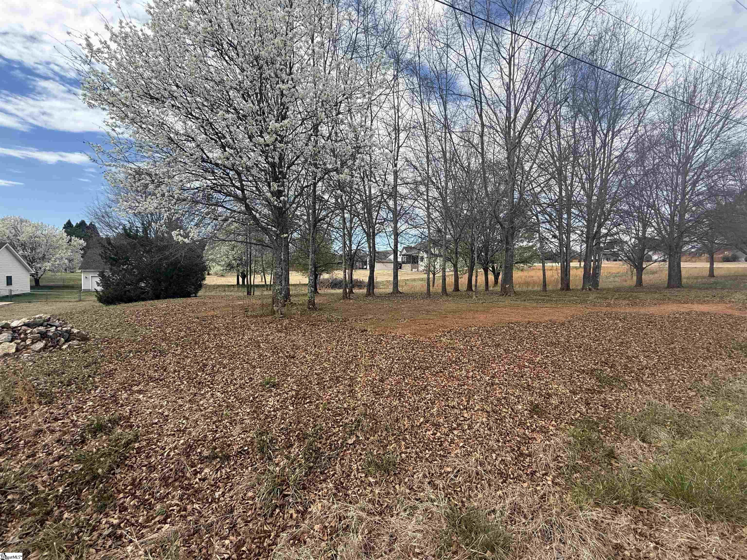 0 Perry Road, Unit PARCEL A Greer, SC 29651 - Photo 5 of 6