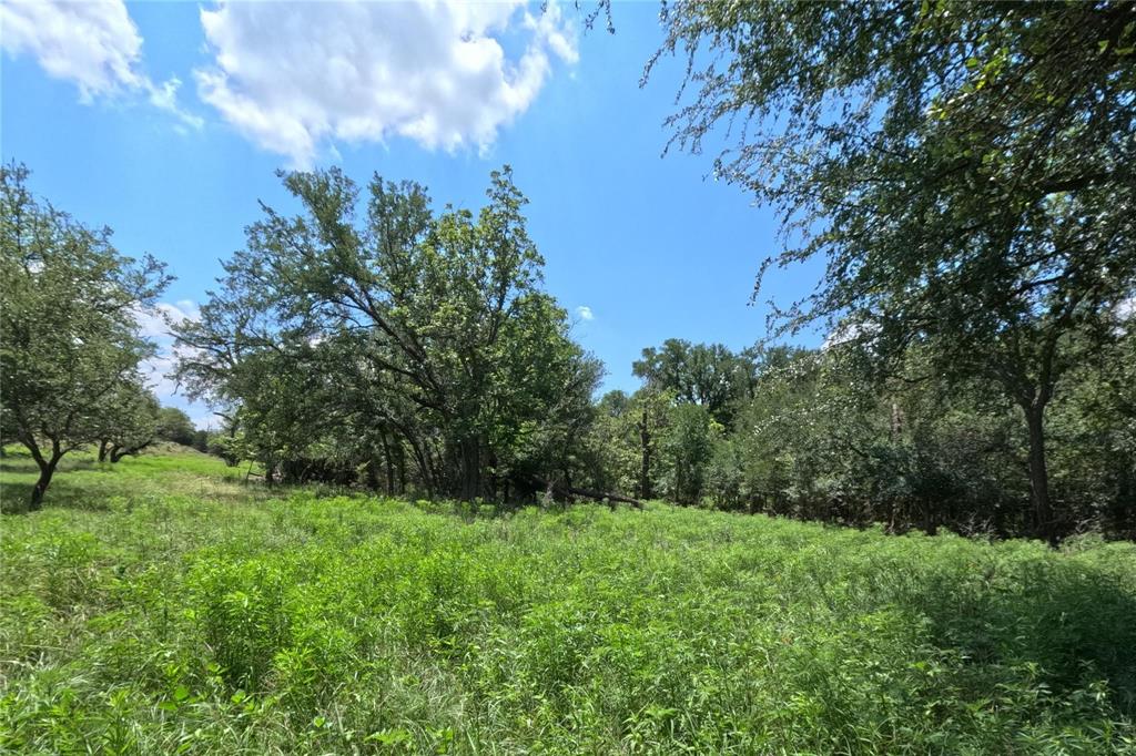 7642 Cr 512 Road Hamilton, TX 76531 - Photo 5 of 11