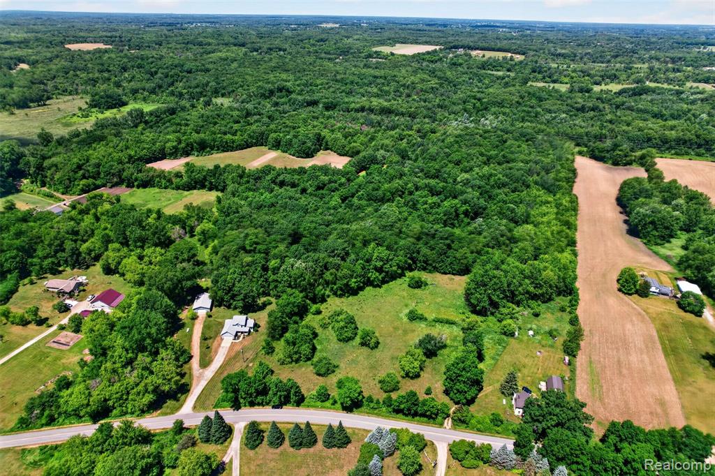 V1 Murray Road Dansville, MI 48819 - Photo 4 of 16