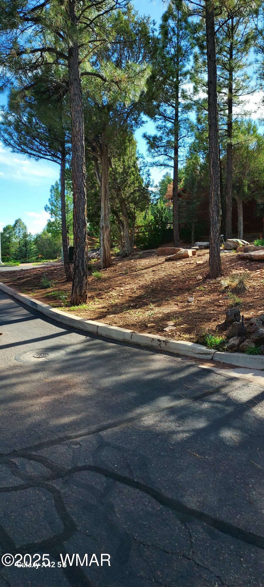 4520 West Tatanka Loop, Unit A4 Show Low, AZ 85901 - Photo 34 of 53 20250928_150801