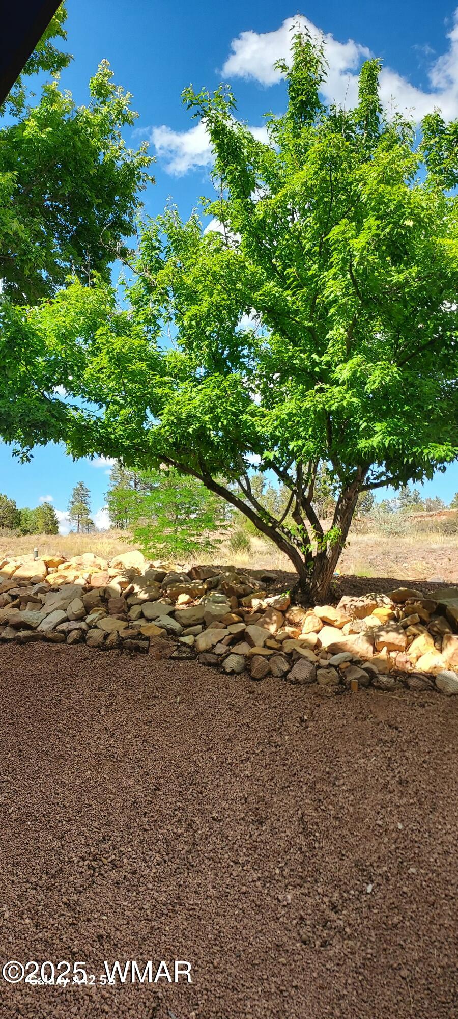 4520 West Tatanka Loop, Unit A4 Show Low, AZ 85901 - Photo 42 of 53 20250703_153742