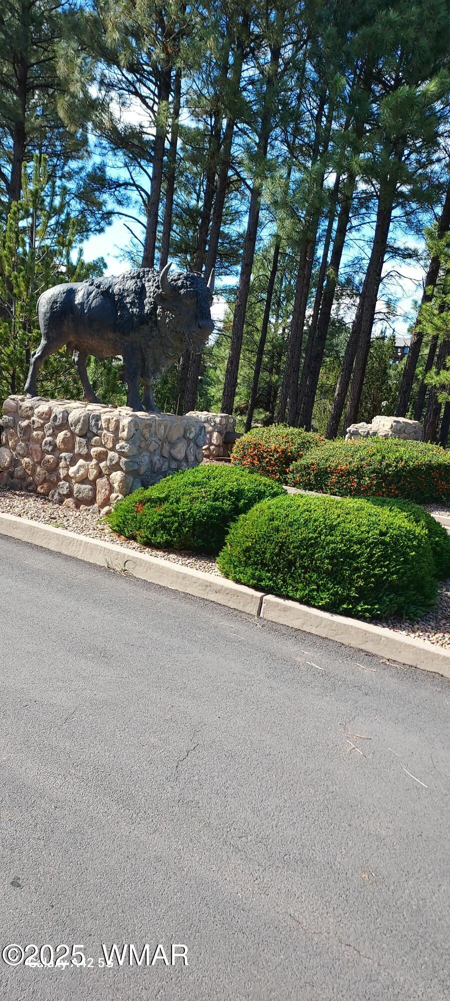 4520 West Tatanka Loop, Unit A4 Show Low, AZ 85901 - Photo 43 of 53 20250928_150828