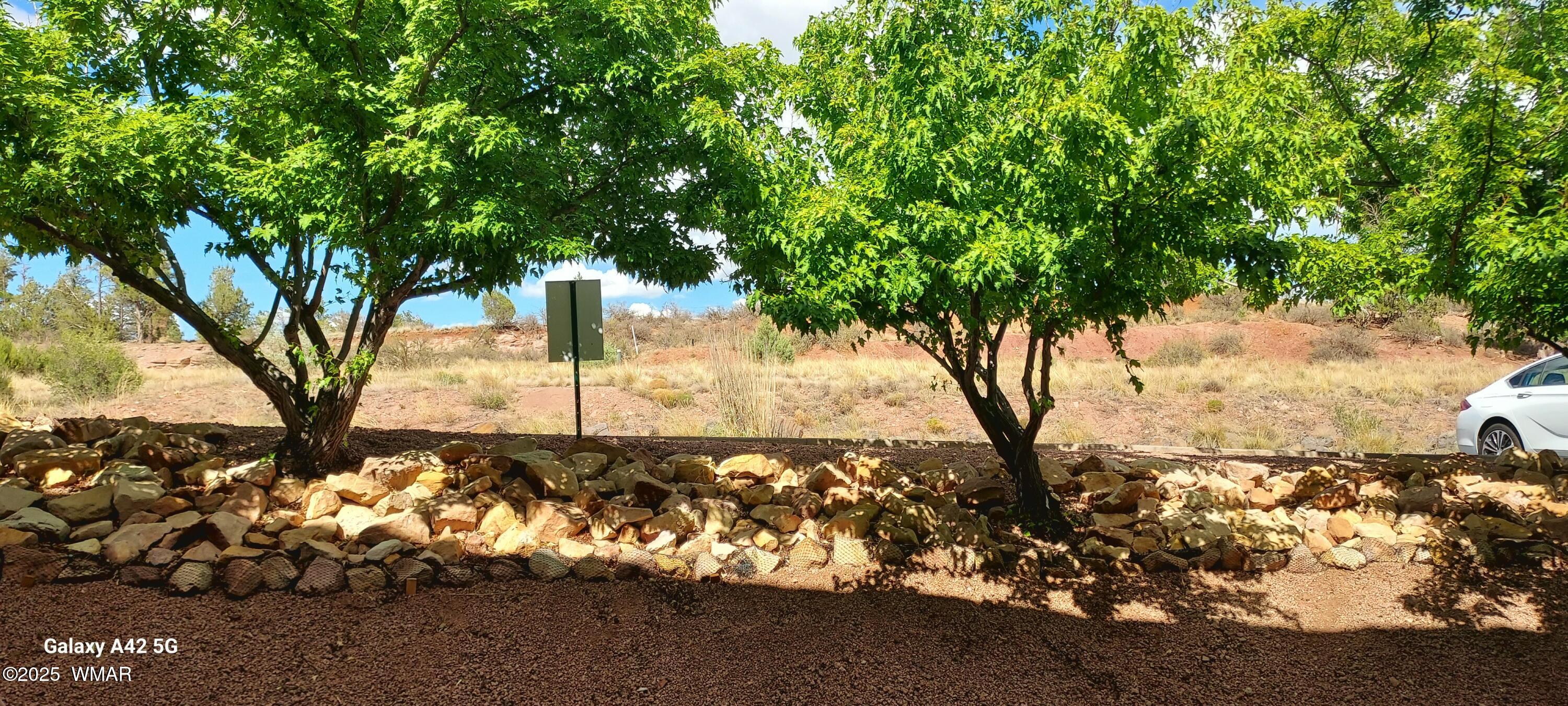 4520 West Tatanka Loop, Unit A4 Show Low, AZ 85901 - Photo 47 of 53 20250703_153824