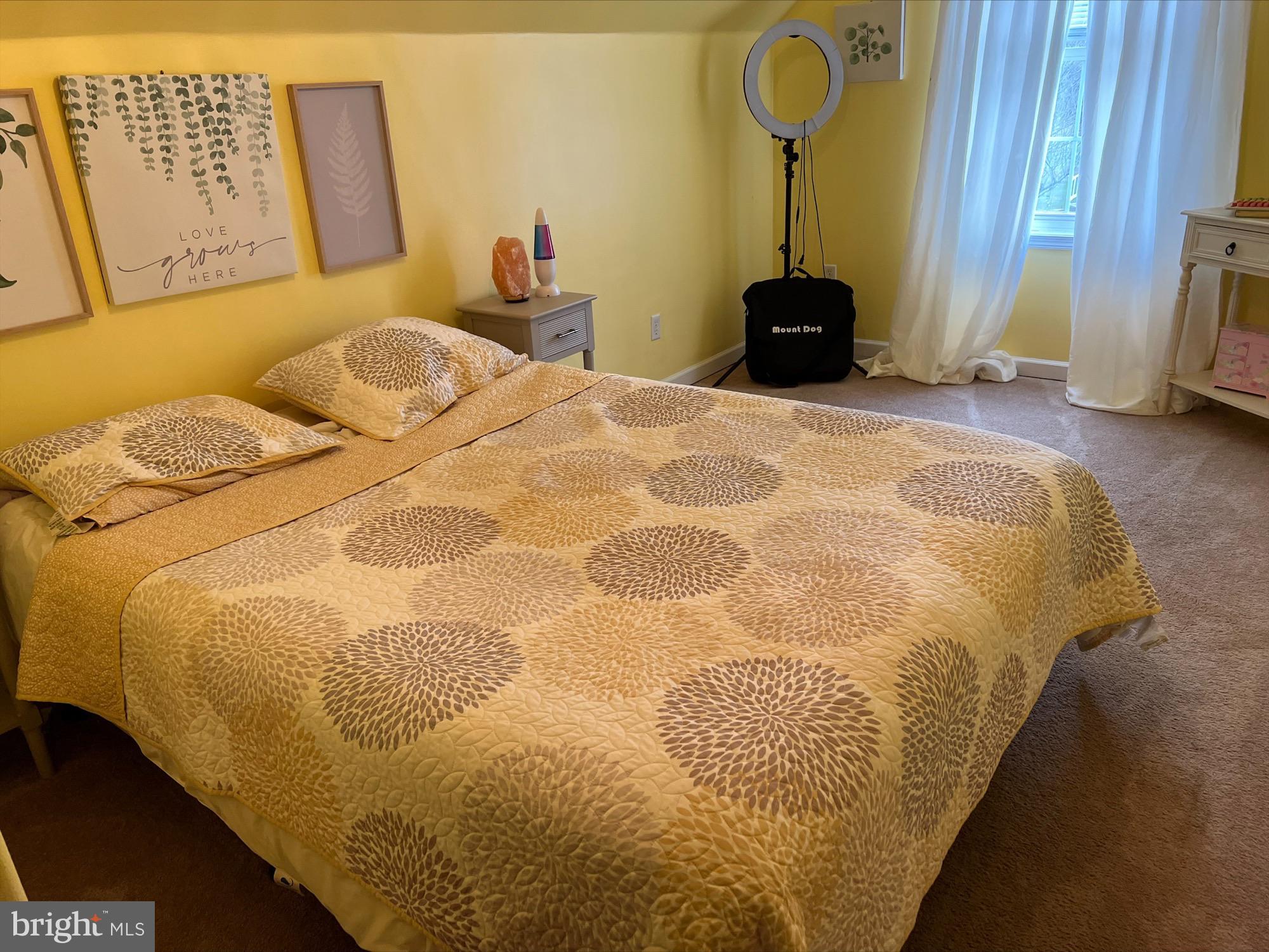 43 Susannah Drive Magnolia, DE 19962 - Photo 40 of 42