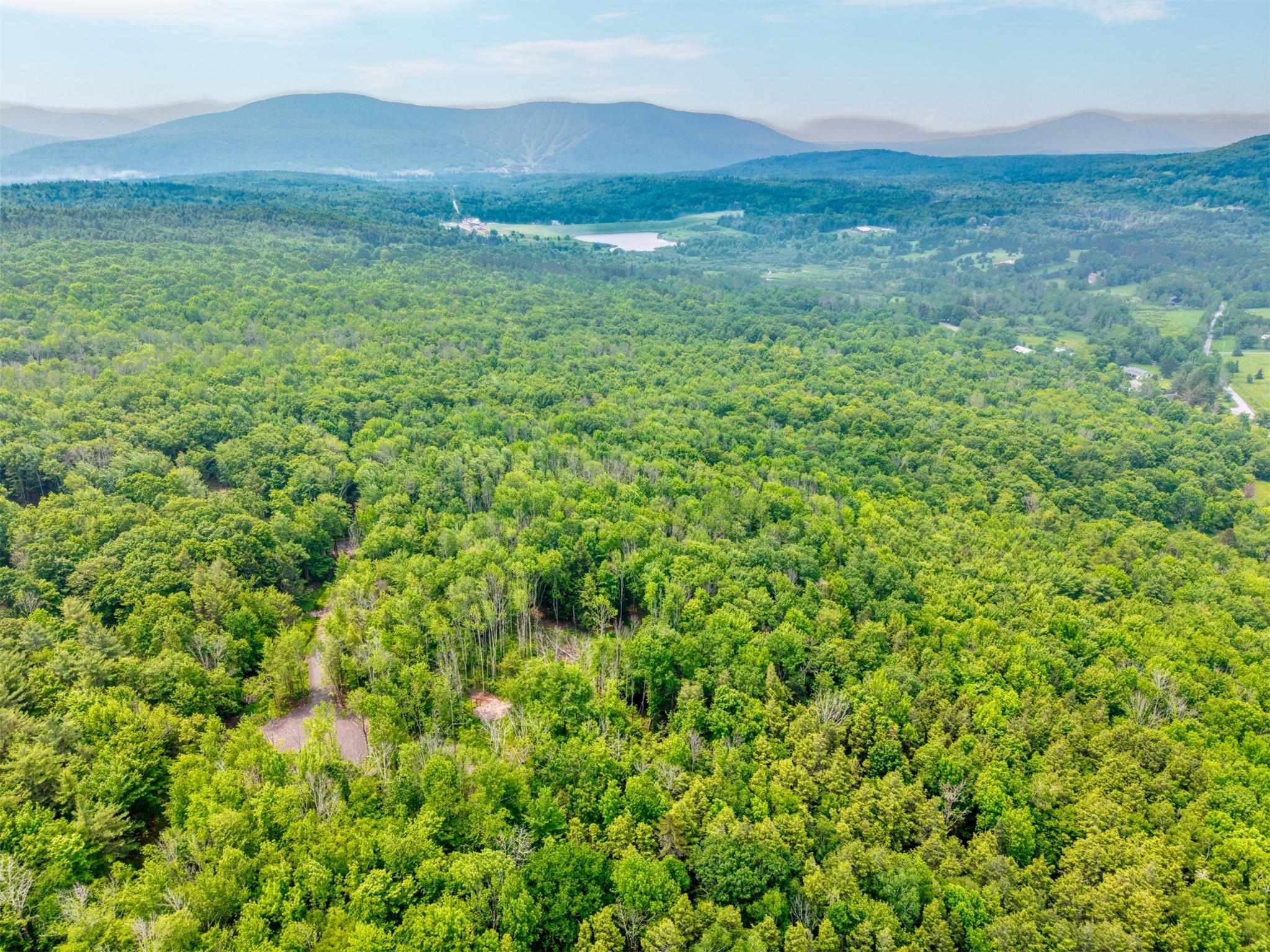 Tbd Boulder Brook Road Windham, NY 12496 - Photo 37 of 44 Drone / aerial view of a heavily wooded area and a mountain backdrop