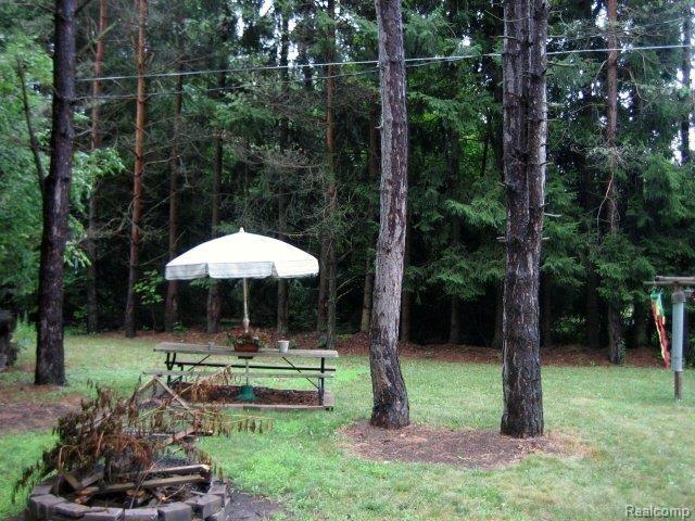 5282 Skelton Road Columbiaville, MI 48421 - Photo 9 of 25 Back Yard.JPG
