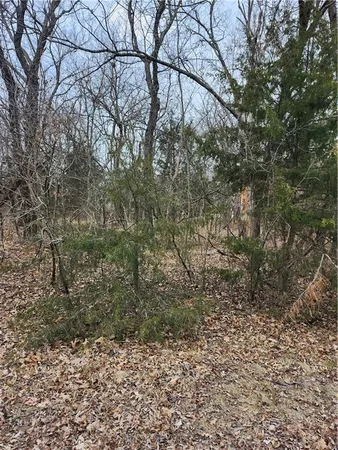 $8,250 | 13 Silver Lane, Linn Valley, KS 66040